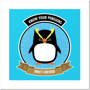 Erect-Crested Penguin - Know Your Penguins Posters and Art